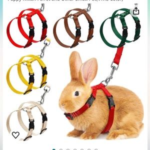 LIME GREEN SMALL PET LEASH